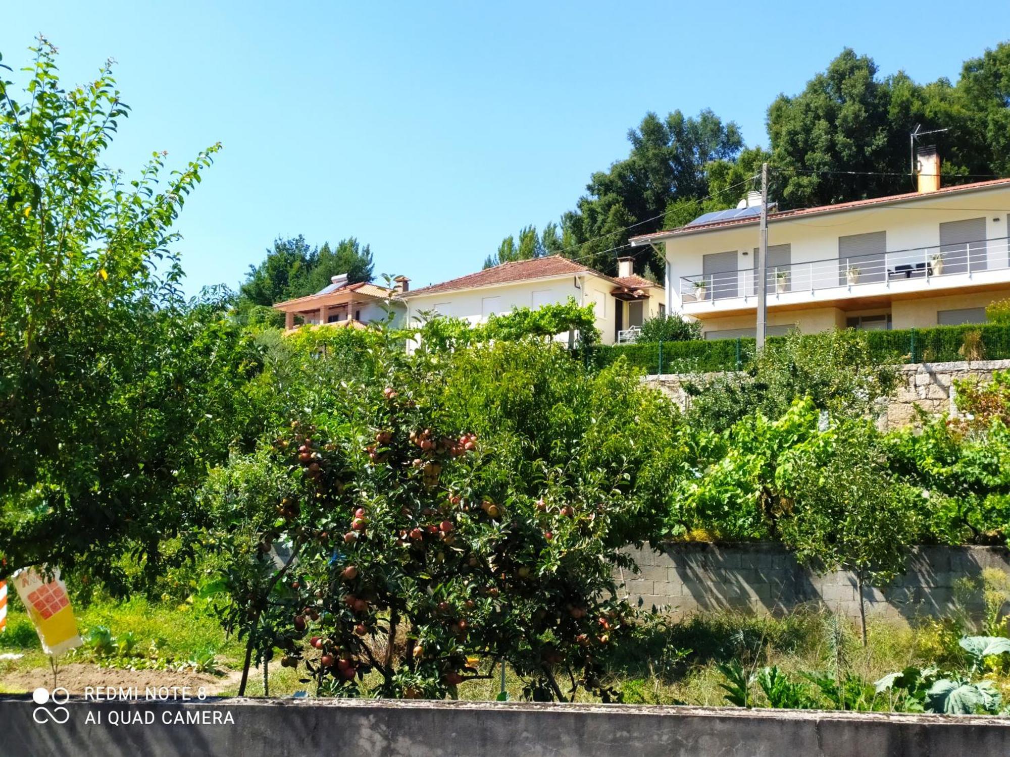 Bellavista Alojamento Арока Екстериор снимка
